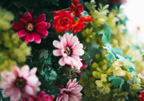 DIY Røde Hybrid Te-Rose Buketter: Forny Dit Hjem med Elegante Blomsterarrangementer